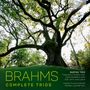 Johannes Brahms: Klaviertrios Nr.1-3, CD,CD