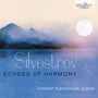 Valentin Silvestrov: Klavierwerke "Echoes of Harmony", CD