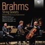 Johannes Brahms: Streichsextette Nr.1 & 2 (bearbeitet für Klaviertrio in der Transkription von Theodor Kirchner), CD