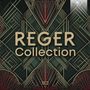 Max Reger: Reger Collection (Brilliant Classics), 18 CDs