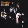 Amazing Blondel: Restoration, CD, CD