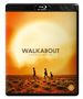 "WALKABOUT A Nicolas Roeg Film" über einem großen Sonnenuntergang. Drei Menschen gehen durch eine Wüstenlandschaft.