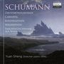 Robert Schumann: Klavierwerke, 2 CDs