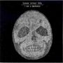 Bonnie 'Prince' Billy: I See A Darkness, LP