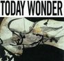 Ed Kuepper: Today Wonder, CD