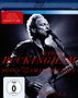 Lindsey Buckingham: Songs From The Small Machine: Live In L.A. 2011 (EV Classics), Blu-ray Disc