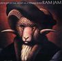 Ram Jam: A Portrait Of The Artist As A Young Ram (Collector's Edition) (Remastered & Reloaded), CD