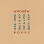 Andrew Poppy: Ark Hive Of Live, CD