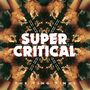 The Ting Tings: Super Critical, LP