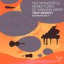 "The Wonderful Adventures of Amanda Maier, Trio Ernest, Éléonore Billy." Luftschiffe und Musikinstrumente schweben am Himmel., CD