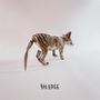 Alexis Taylor: Silence, LP, LP