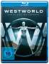 : Westworld Staffel 1: Das Labyrinth (Blu-ray), BR,BR,BR