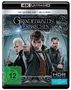 David Yates: Phantastische Tierwesen: Grindelwalds Verbrechen (Ultra HD Blu-ray & Blu-ray), UHD,BR