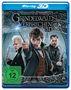 David Yates: Phantastische Tierwesen: Grindelwalds Verbrechen (3D Blu-ray), BR