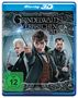 Phantastische Tierwesen: Grindelwalds Verbrechen (3D Blu-ray), Blu-ray Disc