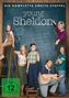 Young Sheldon Staffel 2, 3 DVDs