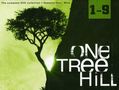 One Tree Hill Season 1-9 (UK Import), DVD