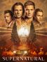 : Supernatural Season 15 (final Season) (UK Import), DVD,DVD,DVD,DVD,DVD