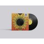 "Common Saints" oben rechts, bunte Illustration: psychedelische Sonnenblume auf einem Plattencover mit schwarzem Vinyl., Single 7"
