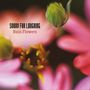 Sorry For Laughing: Rain Flowers, 2 CDs, 2 CDs