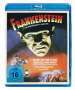 James Whale: Frankenstein (1931) (Blu-ray), BR