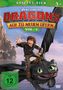 Dragons - Auf zu neuen Ufern Staffel 4 Vol. 4, DVD