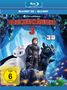 Drachenzähmen leicht gemacht 3 - Die geheime Welt (3D & 2D Blu-ray), 2 Blu-ray Discs