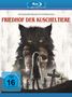 Kevin Kölsch: Friedhof der Kuscheltiere (2019) (Blu-ray), BR