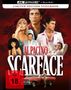 Brian de Palma: Scarface (1983) (Ultra HD Blu-ray & Blu-ray im Steelbook), UHD,BR