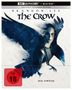 Alex Proyas: The Crow - Die Krähe (Ultra HD Blu-ray & Blu-ray im Steelbook), UHD,BR