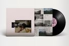 Fionn Regan: O Avalanche, LP