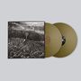 Machinedrum: Vapor City (Limited Edition) (Gold Vinyl), LP,LP