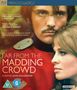 John Schlesinger: Far From The Madding Crowd (1967) (Blu-ray) (UK Import), BR,BR