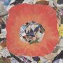 Joseph Allred: The True Light, LP, LP