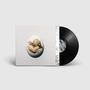Text: "SWALLOW". Schwarze Vinyl-Schallplatte halb in weißer Hülle mit Kunstwerk eines Fisches in einem ovalen Raum., LP