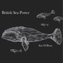 British Sea Power: Sea Of Brass, CD