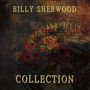 Billy Sherwood: Collection, CD