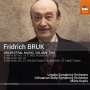 Fridrich Bruk (geb. 1937): Orchesterwerke Vol.2, CD