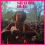 King Tubby & The Aggrovators: Shalom Dub, CD, CD