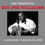 Big Joe Williams (Guitar / Blues): The Essential, 2 CDs