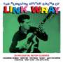 Link Wray: The Rumbling Guitar Sound Of Link Wray, CD,CD