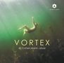 : Ari Cohen Mann - VORTEX (180g), LP