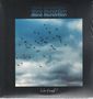 Stone Foundation: Is Love Enough, 2 LPs