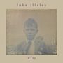 John Illsley (ex-Dire Straits): VIII, CD