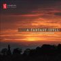 David W. Bowerman: Kammermusik "A Fantasy Idyll", CD