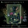 Kinga Ujszaszi & Tom Foster - Cabinet of Wonders Vol.2 (Stücke aus dem "Dresdner Schrank II" ), CD
