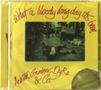 Ashton, Gardner & Dyke: What A Bloody Long Day It's Been, CD