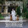 Pet Symmetry: Pets Hounds, CD