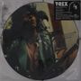 T.Rex (Tyrannosaurus Rex): Born To Boogie (remastered) (Picture Disc), Single 7"