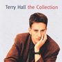 Terry Hall: The Collection, CD